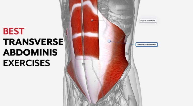 9 Best Transverse Abdominis Activation Exercises For Quick Back Pain ...