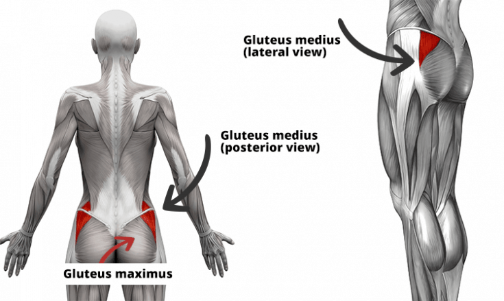 gluteus medius pain gluteus medius pain stretches