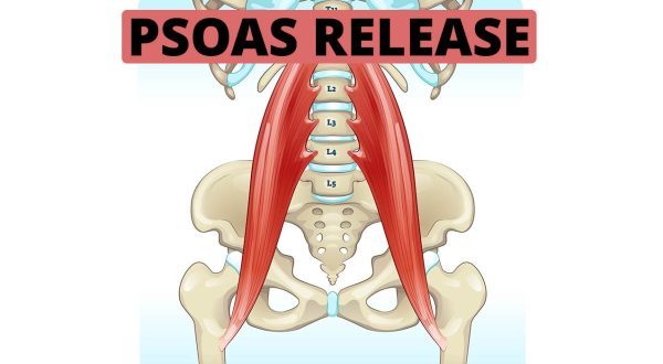 The Most Effective Psoas Release Technique for Pain Relief - Coach ...