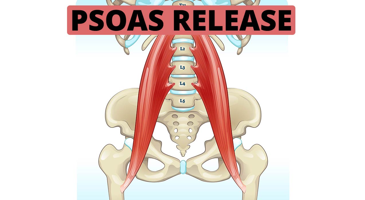 Psoas Deep Tissue Pain Relief Back Hip Chest Psoas Muscle Massager