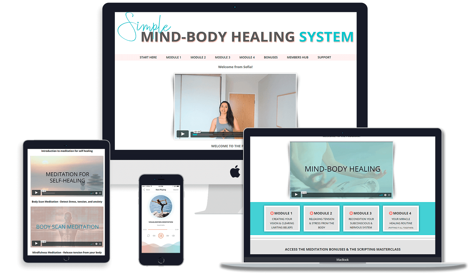 mind-body healing system