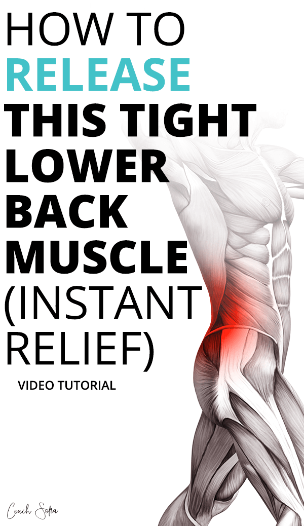 QL CLAW - Lower Back Muscle Release Device