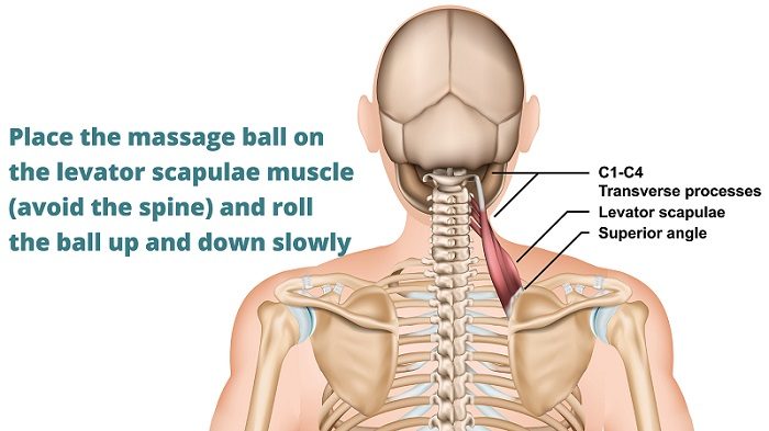 Trapezius Muscle Self-Massage