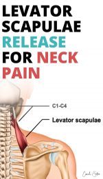 Levator Scapulae Release And Exercises (Instant Neck Pain Relief)