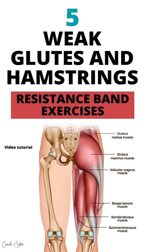 hamstring exercises with bands