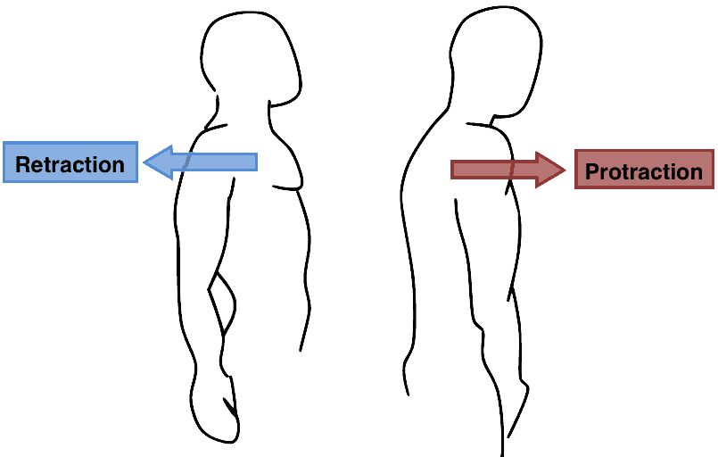 middle trapezius stretches