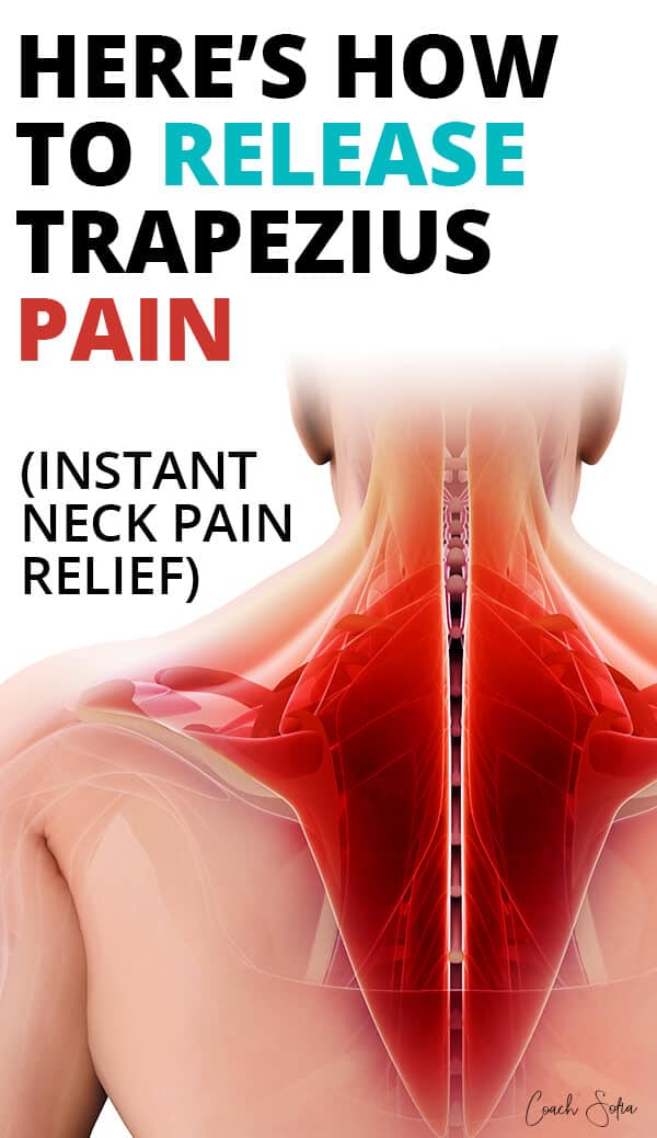 https://coachsofiafitness-1134f.kxcdn.com/wp-content/uploads/2020/06/Trapezius-muscle-pain.jpg