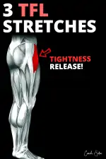 13 Essential Tensor Fascia Latae (TFL) Stretches (PDF Download) - Coach ...