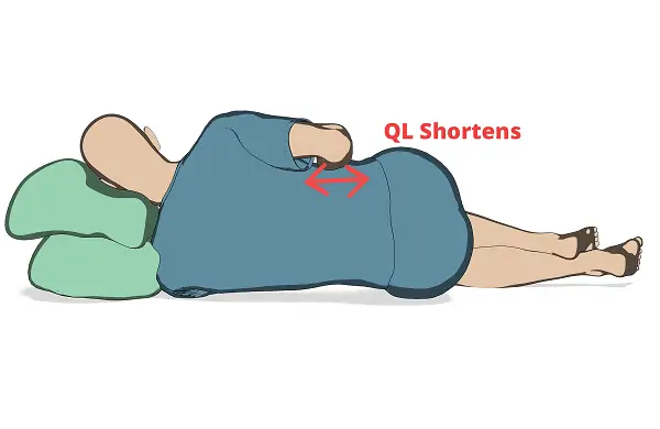 quadratus lumborum stretch supine