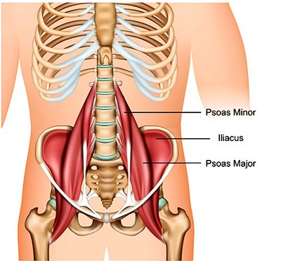 Stretches To Release The Psoas Muscle Coach Sofia Fitness