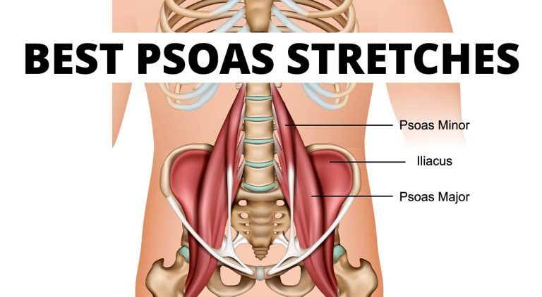 BEST Psoas Stretches To Release Tightness PDF Included Coach Sofia Fitness