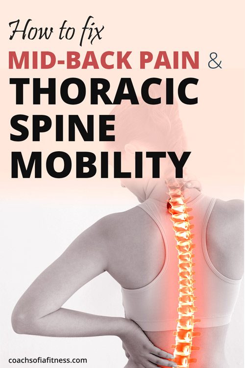thoracic spine anatomy mobility