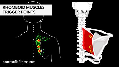 Relieve RHOMBOID & UPPER BACK Pain ✨like magic✨ 