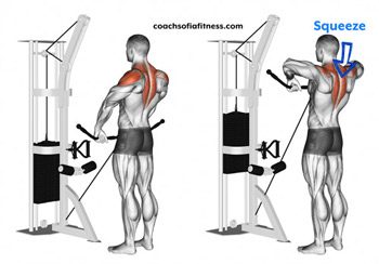 upright-row-cable exercise