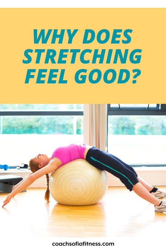 Here's Why Stretching Feels Good Coach Sofia Fitness