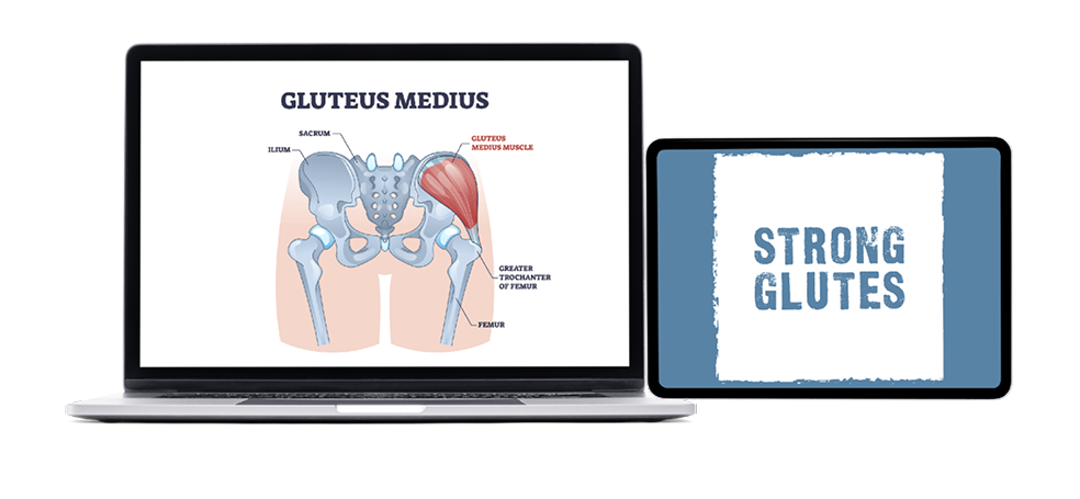 11 Powerful Gluteus Medius Exercises For Strengthening & Activation - Coach  Sofia Fitness