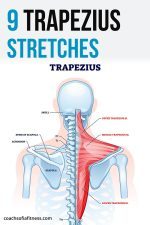 9 Effective Trapezius Release Stretches for Upper Back Pain - Coach ...