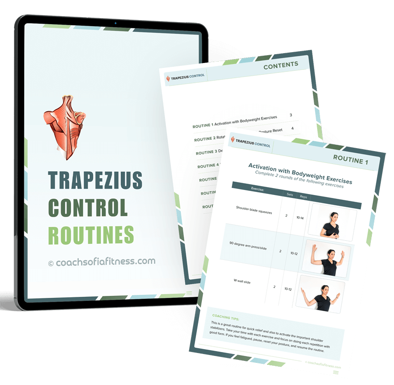 4 Trapezius Rehab Exercises For Pain Relief (No Equipment) - Coach Sofia  Fitness