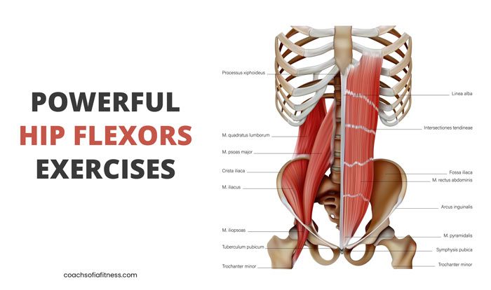 How to Strengthen Your Hip Flexors and Exercises to Try