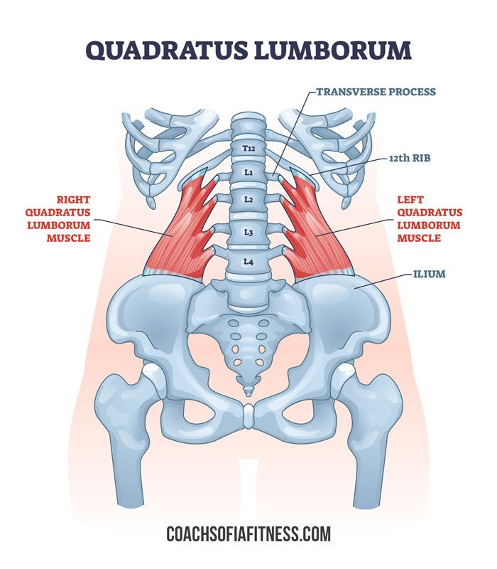 The BEST Side Sleeping Position for Lower Back Pain & Piriformis